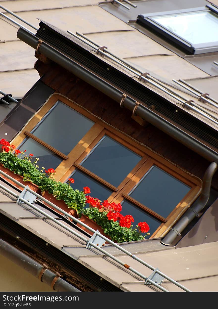 A beatiful window with some pot of flowers. A beatiful window with some pot of flowers