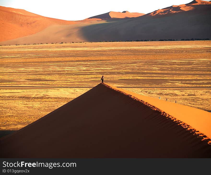 Man alone in the desert sun