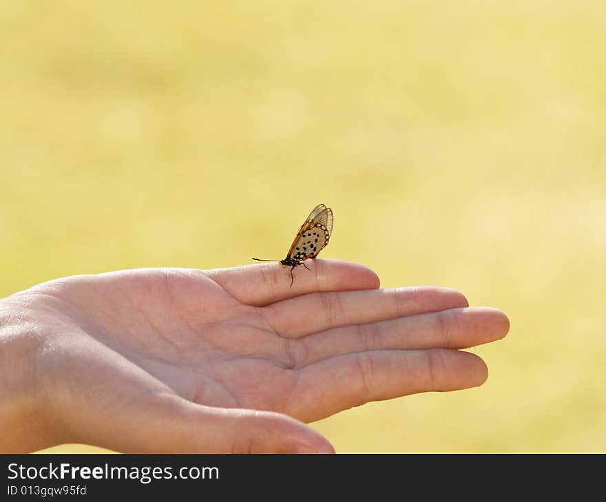 I captured this picture at The Walter Sisulu Botanical Gardens outside Krugersdorp,South Africa. I captured this picture at The Walter Sisulu Botanical Gardens outside Krugersdorp,South Africa.