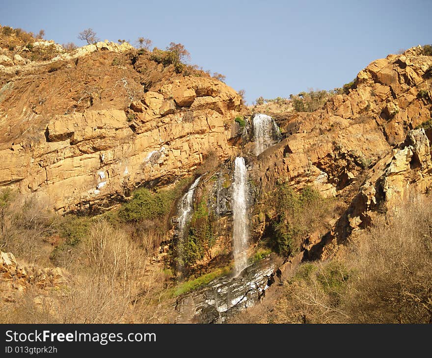 I captured this picture at The Walter Sisulu Botanical Gardens outside Krugersdorp,South Africa. I captured this picture at The Walter Sisulu Botanical Gardens outside Krugersdorp,South Africa.