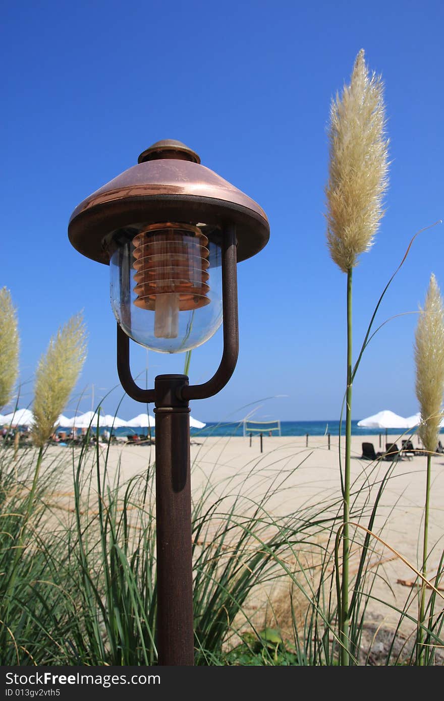 The electric lamp and grass on the beach. The electric lamp and grass on the beach.