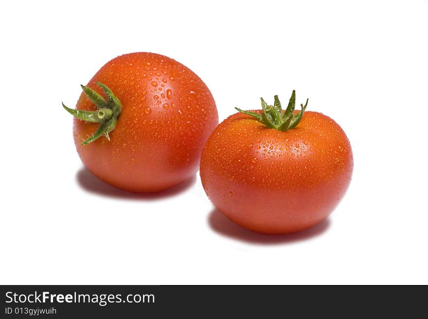 Two vibrant tomatoes on white background glistening with water. Two vibrant tomatoes on white background glistening with water