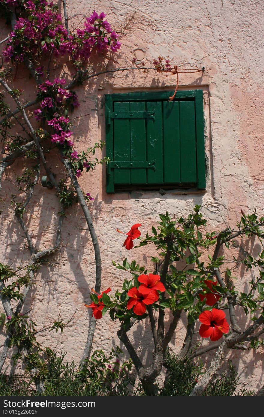 Small window and flowers in my mind