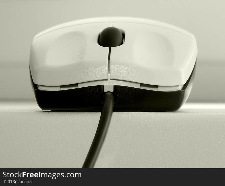 Computer Mouse (the black-and-white image)