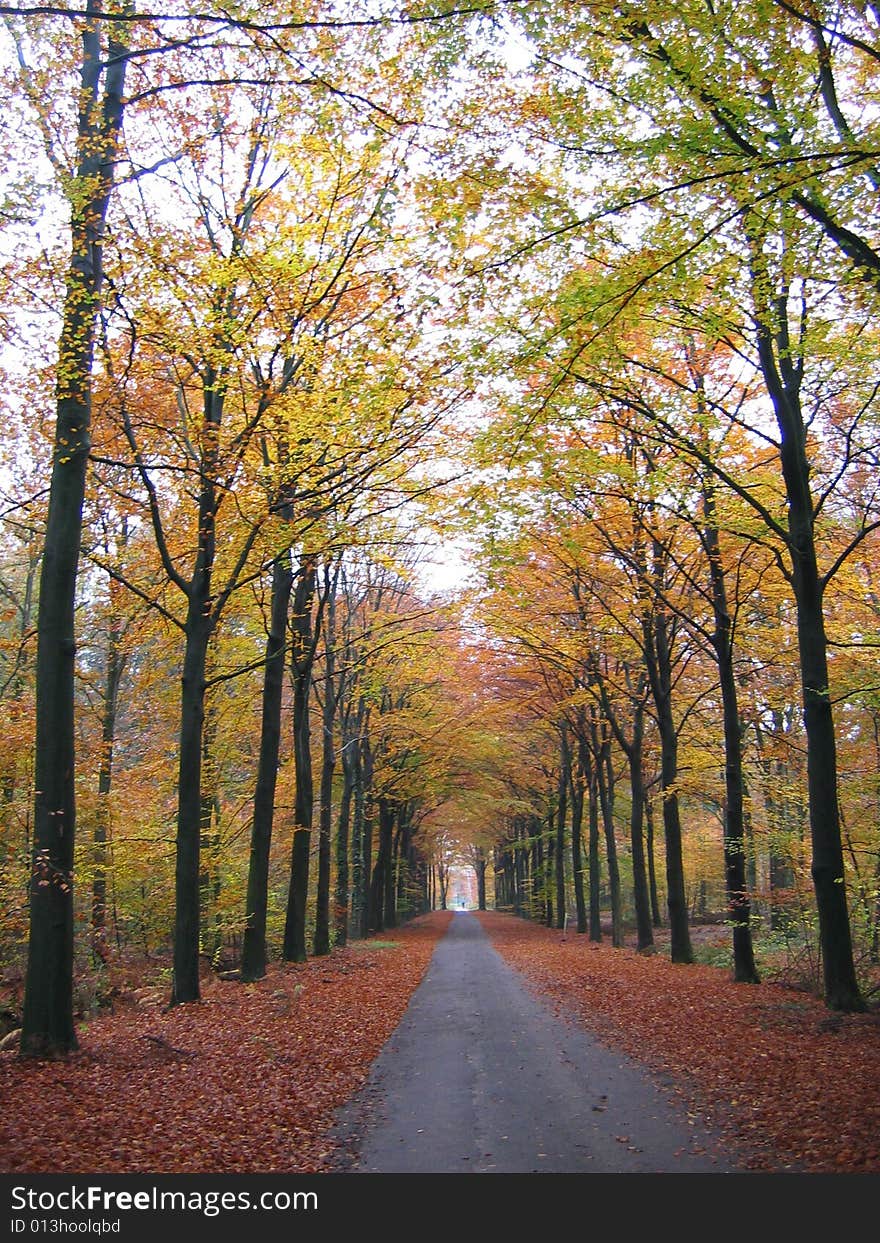 Bycicle track in the Autumn. Bycicle track in the Autumn