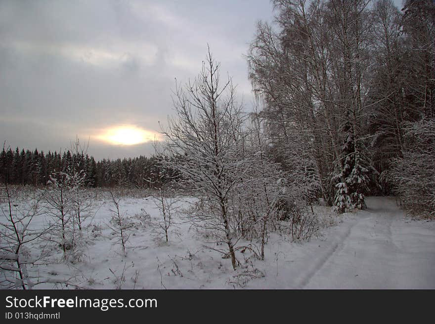 Sunset Of Soft And Gloomy Winter