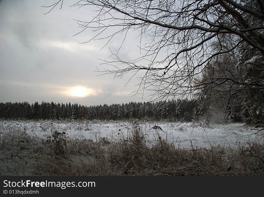 Sunset of soft and gloomy winter