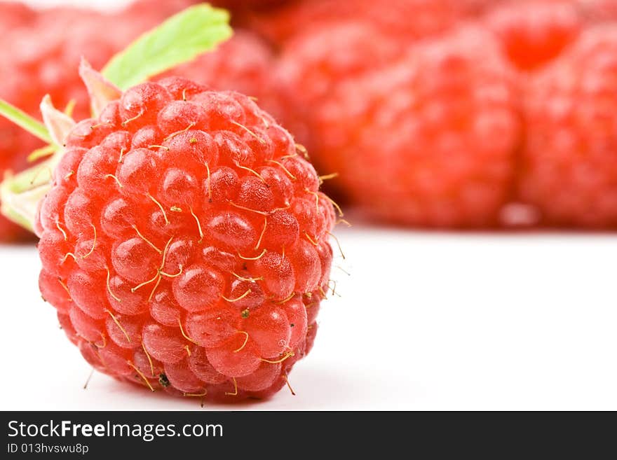 Fresh raspberry