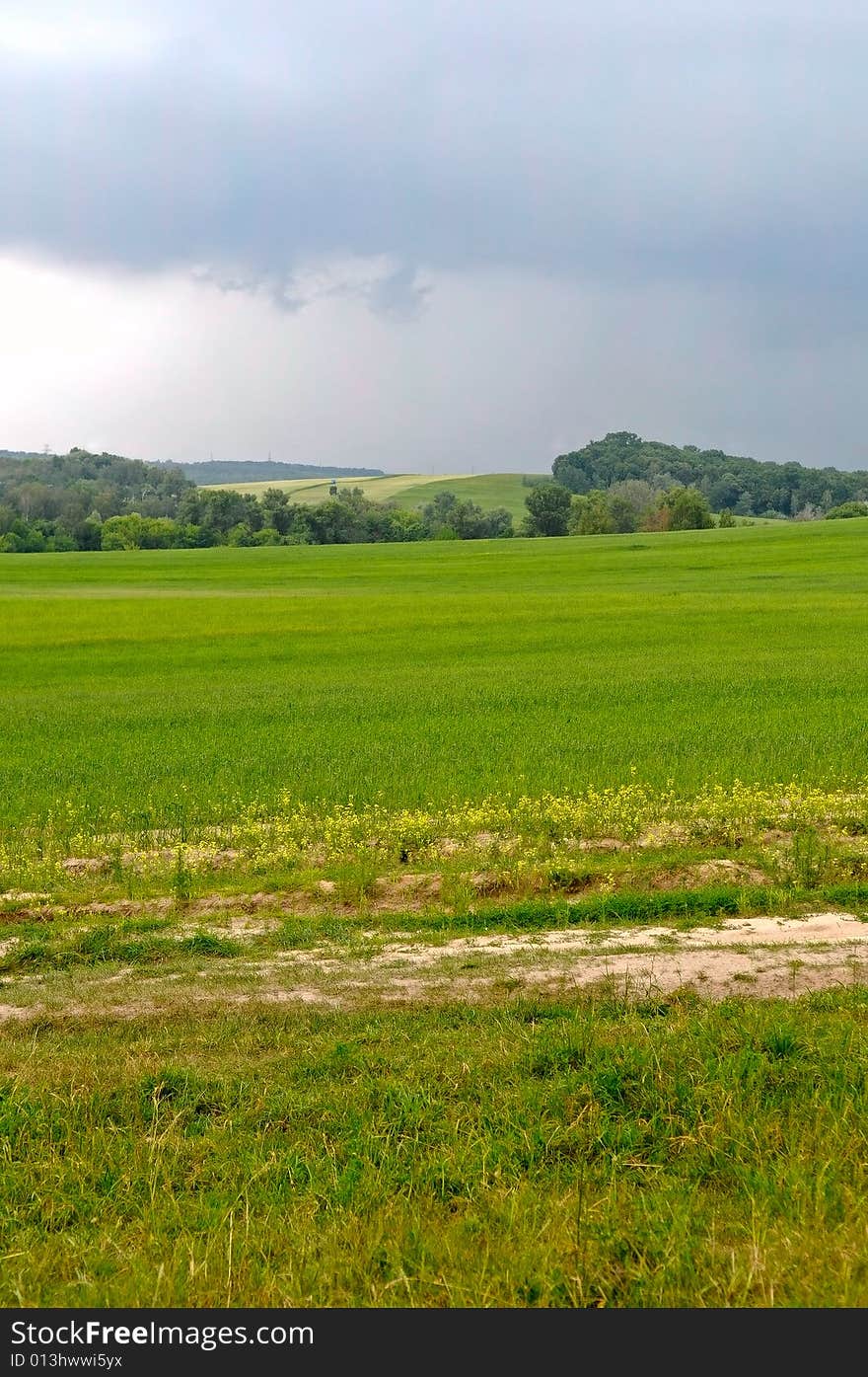 The green field in Russia. The green field in Russia