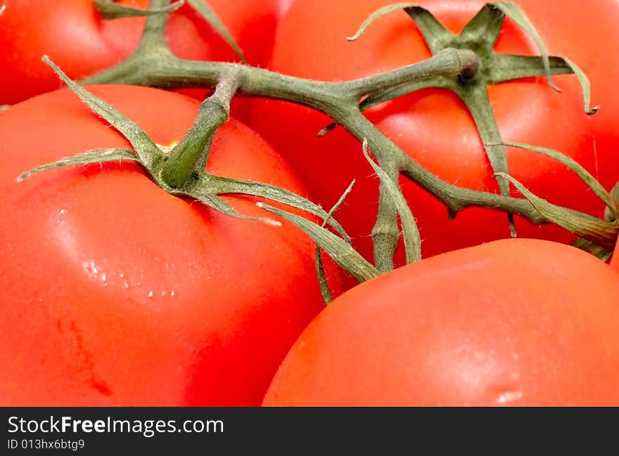 The image of the tomatoes