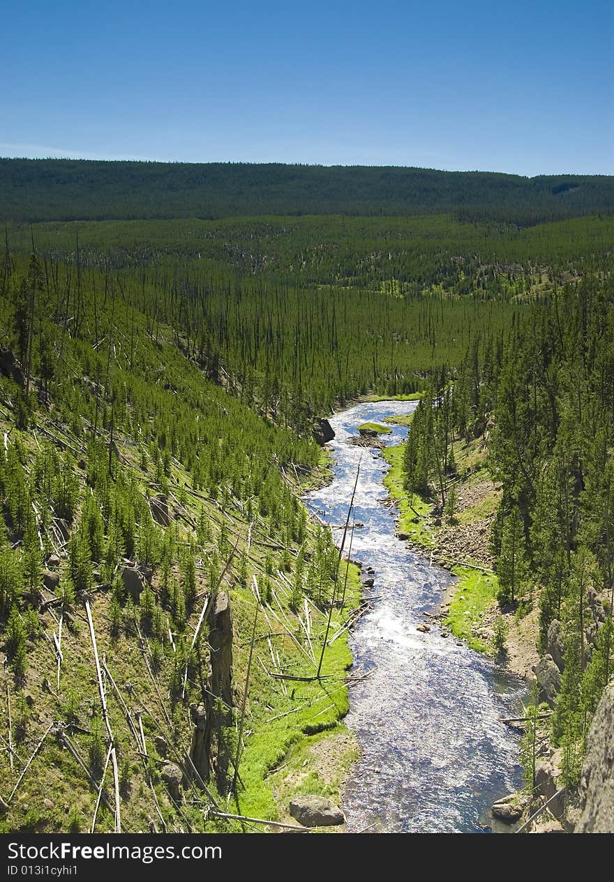 Firehole River in Yellowstone