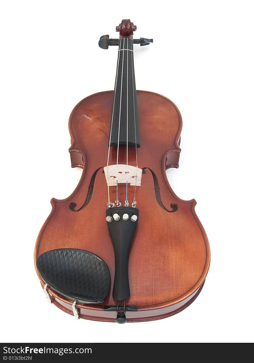 Violin