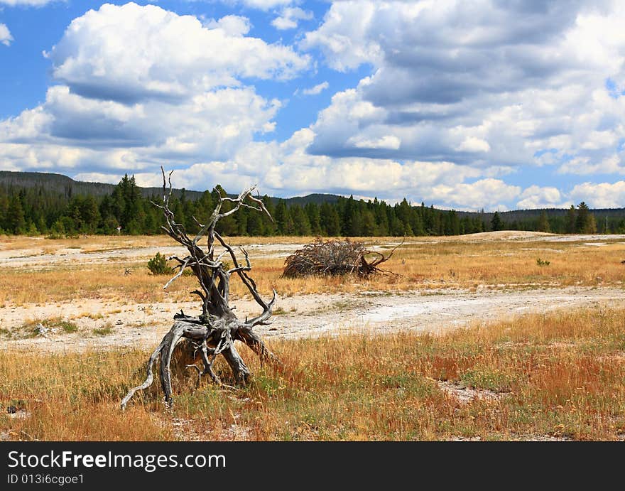 Upper Geyser Basin in Yellowstone