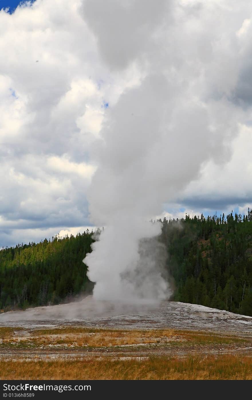 The Old Faithful Geyser In Yellowstone