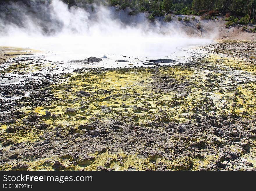 Mud Volcano Area In Yellowstone