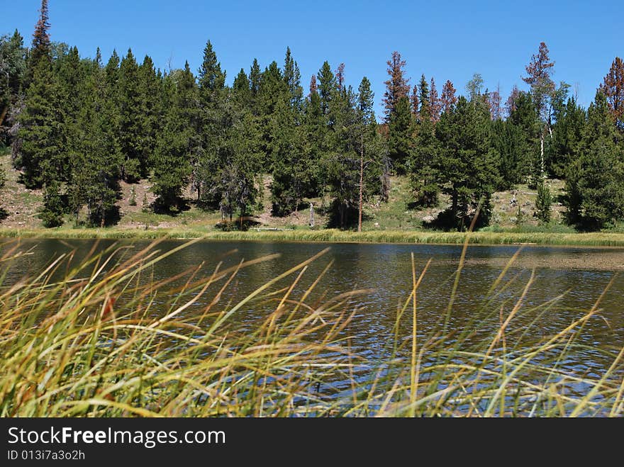 Little lake lyman in the high uintahs of utah