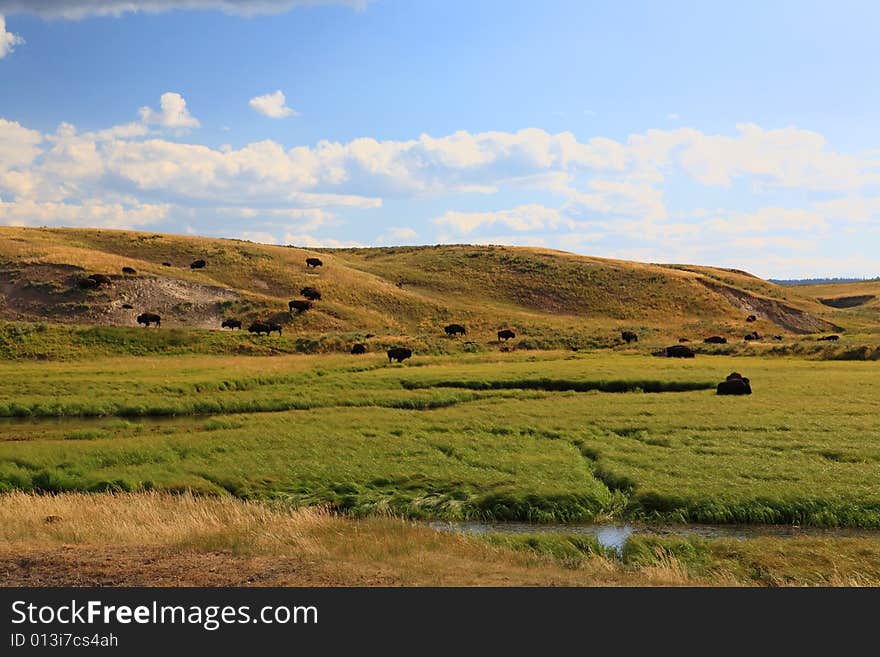 The scenery along the Yellowstone River