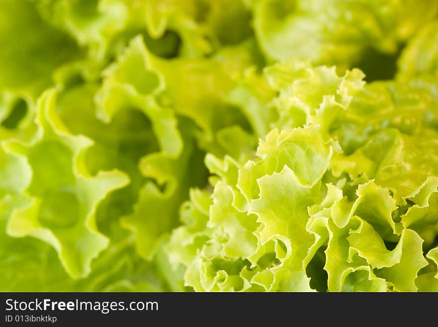 Fresh green closeup salad