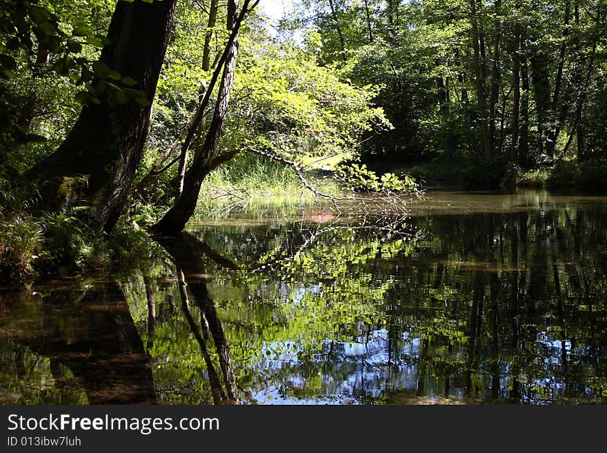 Reflexes lights and shadows in the mirror of water