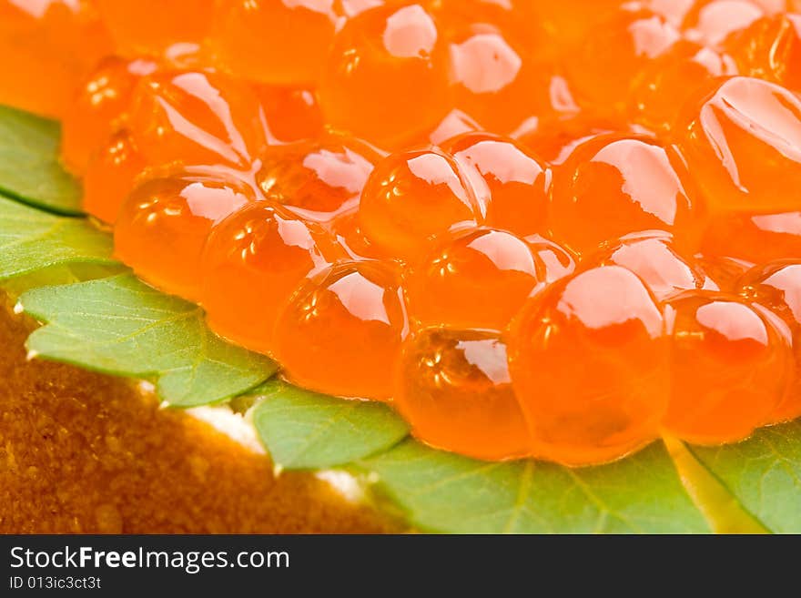 Macro closeup sandwich with red caviar