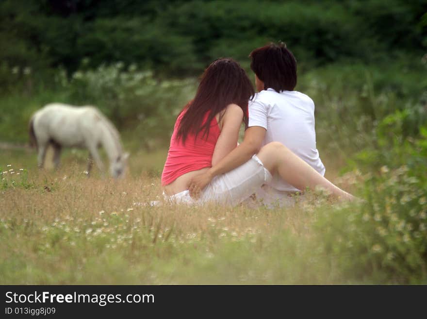 Two in love sit on a green herb on a meadow and observe of an animal. Their persons it is not visible. The horse is grazed in the distance. Two in love sit on a green herb on a meadow and observe of an animal. Their persons it is not visible. The horse is grazed in the distance.