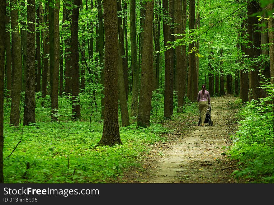 A path is in the green forest