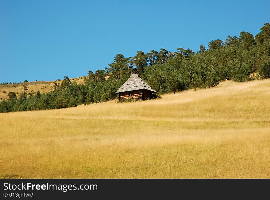 Beautiful old wooden rustic style country house on a yellow field with an evergreen forest in background. Beautiful old wooden rustic style country house on a yellow field with an evergreen forest in background