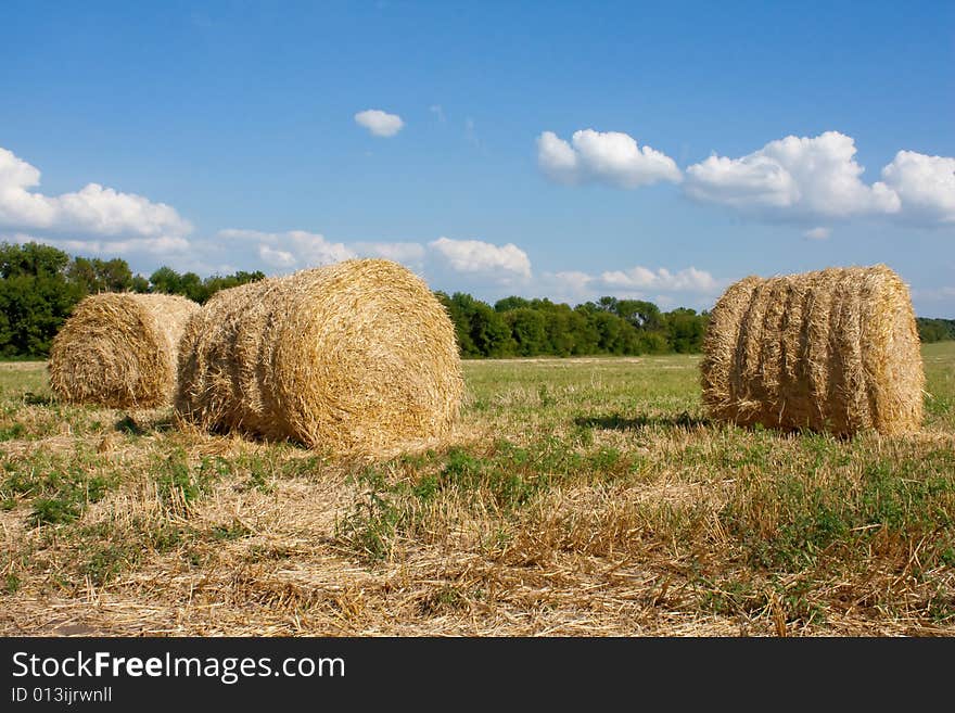 Harvest