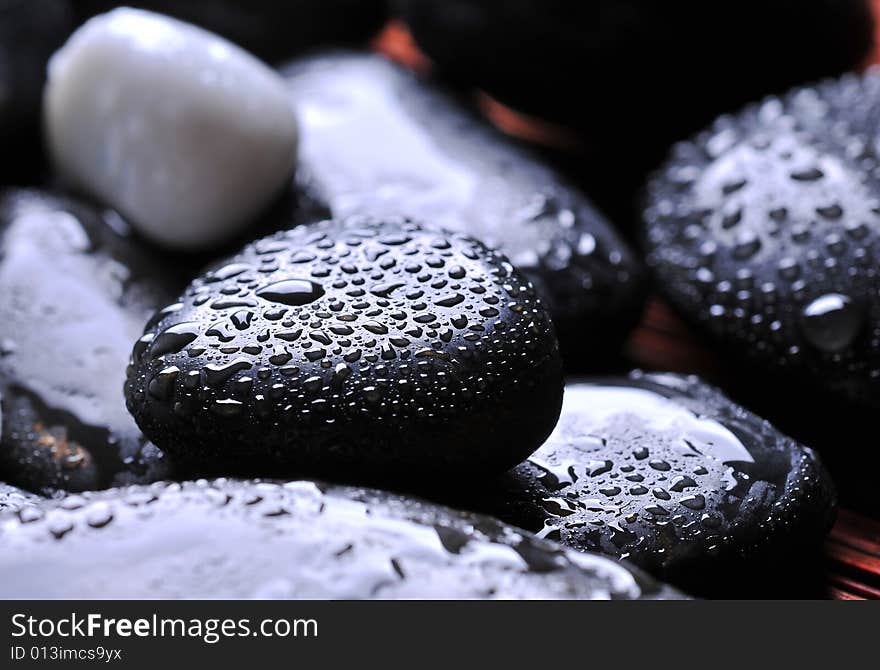 Close up of wet river rocks. Close up of wet river rocks