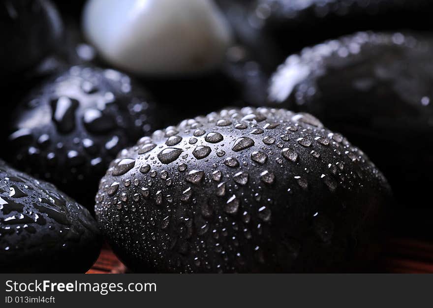 Close up of wet river rocks. Close up of wet river rocks