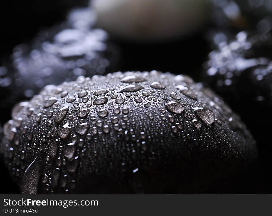 Close up of wet river rocks. Close up of wet river rocks