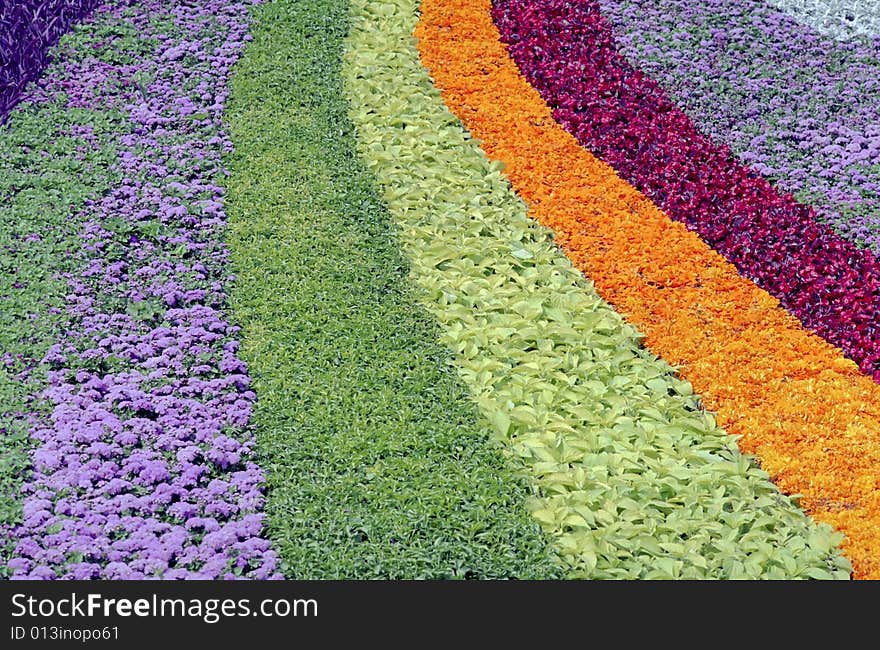 Flower design, natural garden texture