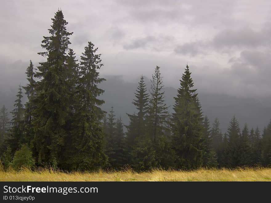 Fog in Zakopane