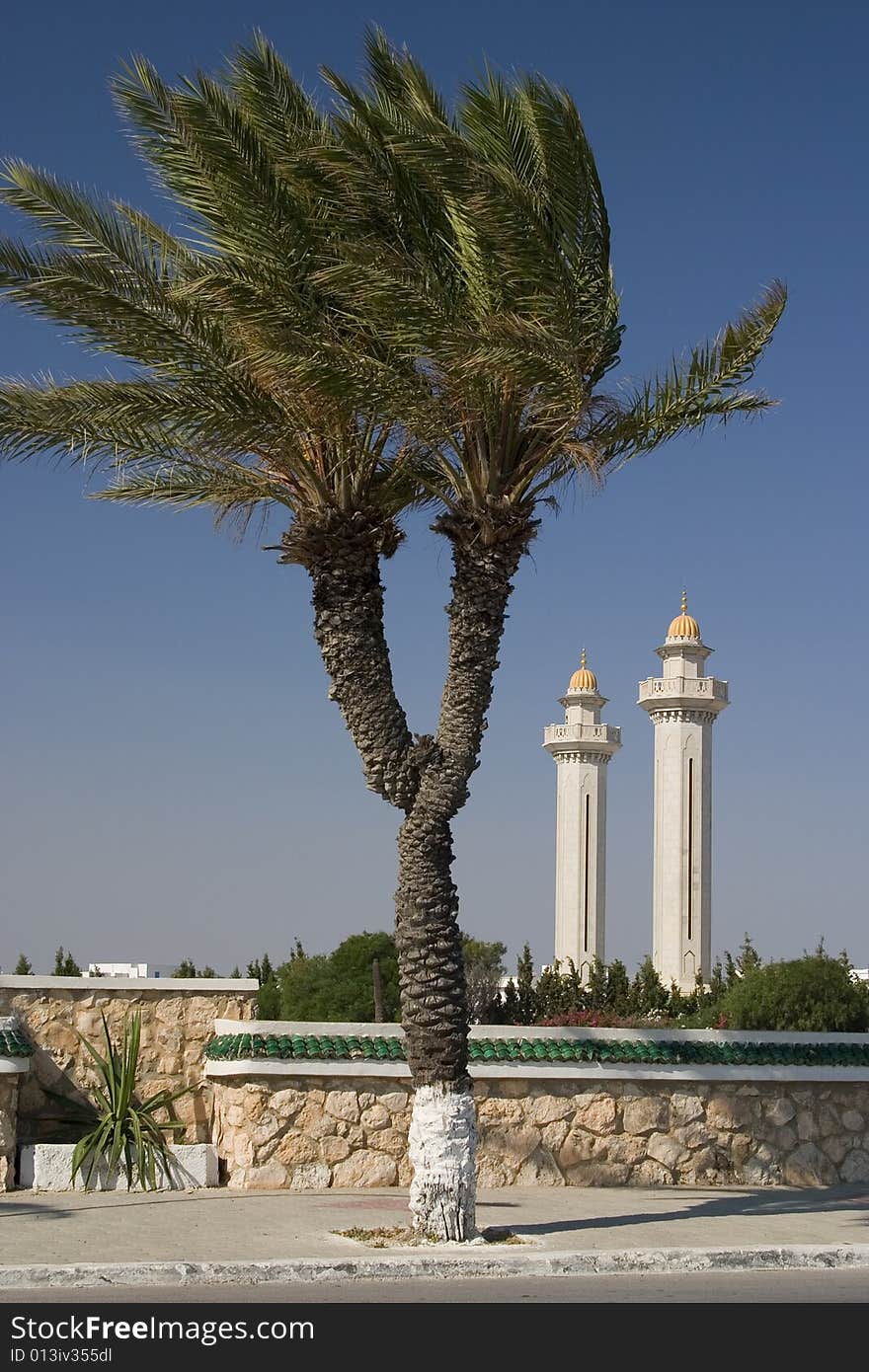 Two palm trunks against the backdrop of two minarets. Two palm trunks against the backdrop of two minarets