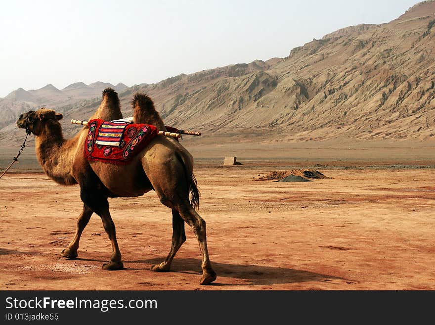 The scene of the sinkiang china . The scene of the sinkiang china .