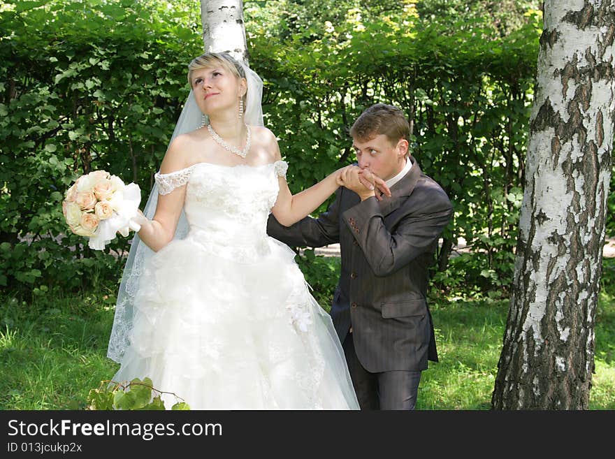 The groom and the bride during walk in park. The groom and the bride during walk in park