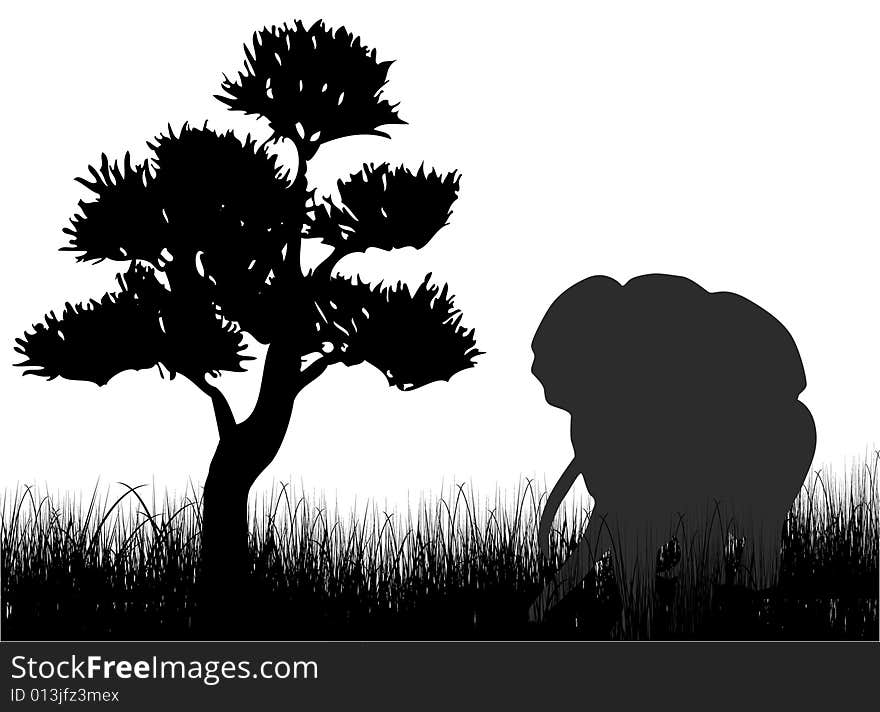 Elephant on the grass illustration