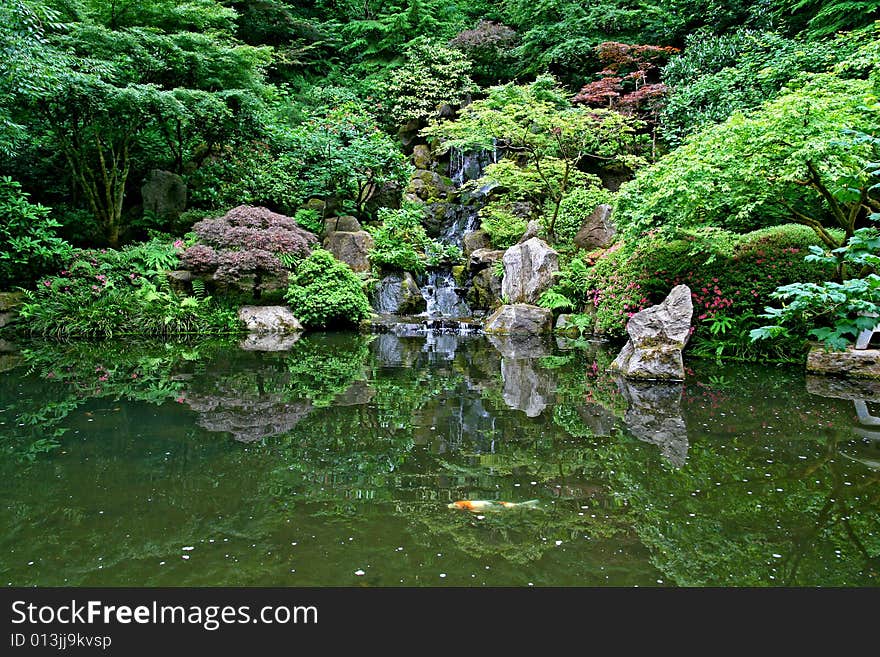 Reflecting pool with waterfall and bushes