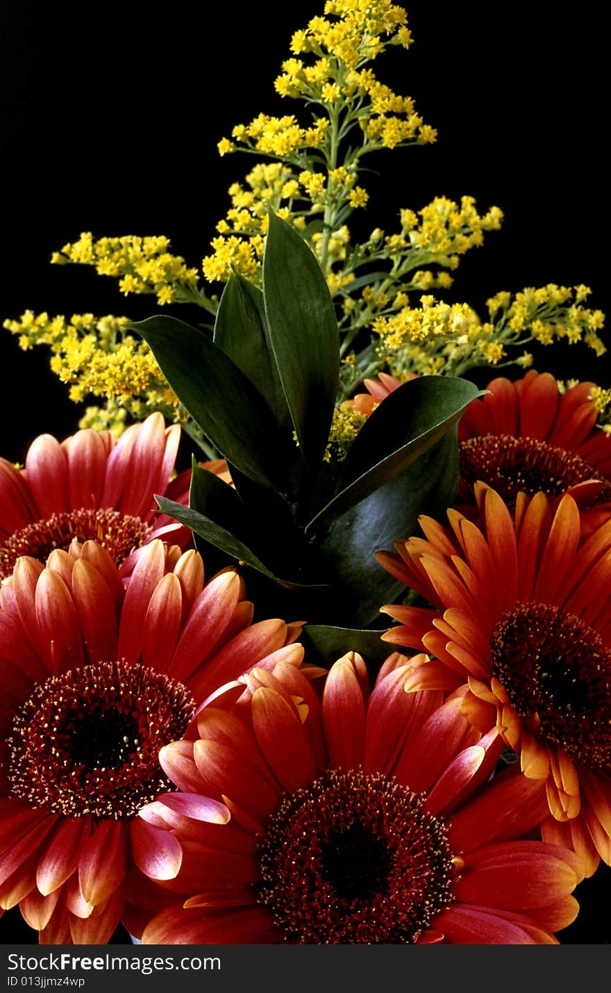 Barberton Daisy in arrangement of other flowers