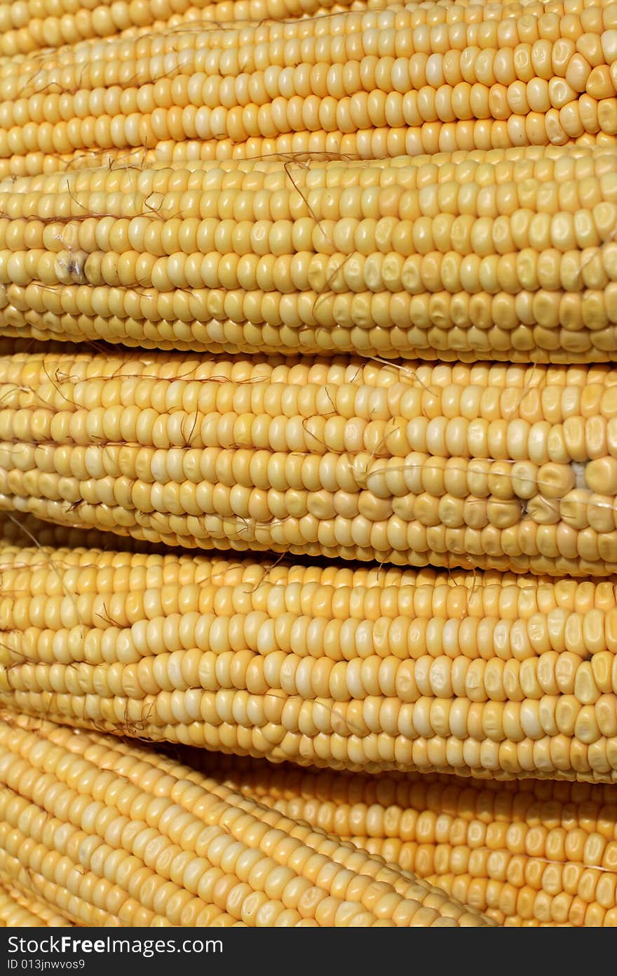 The heap of yellow maize as background. The heap of yellow maize as background