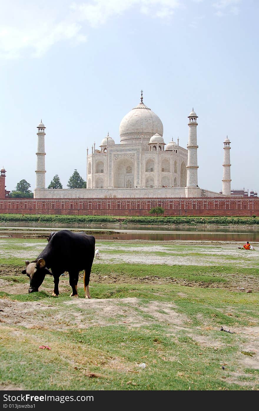 The Taj Mahal in Agra, India from the riverbed behind it.