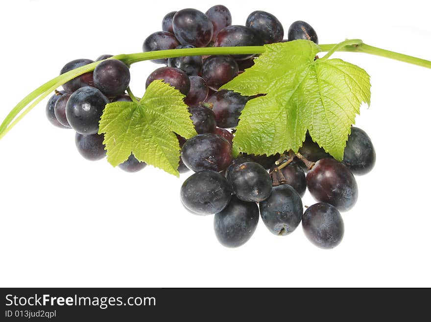 Grapes and vine