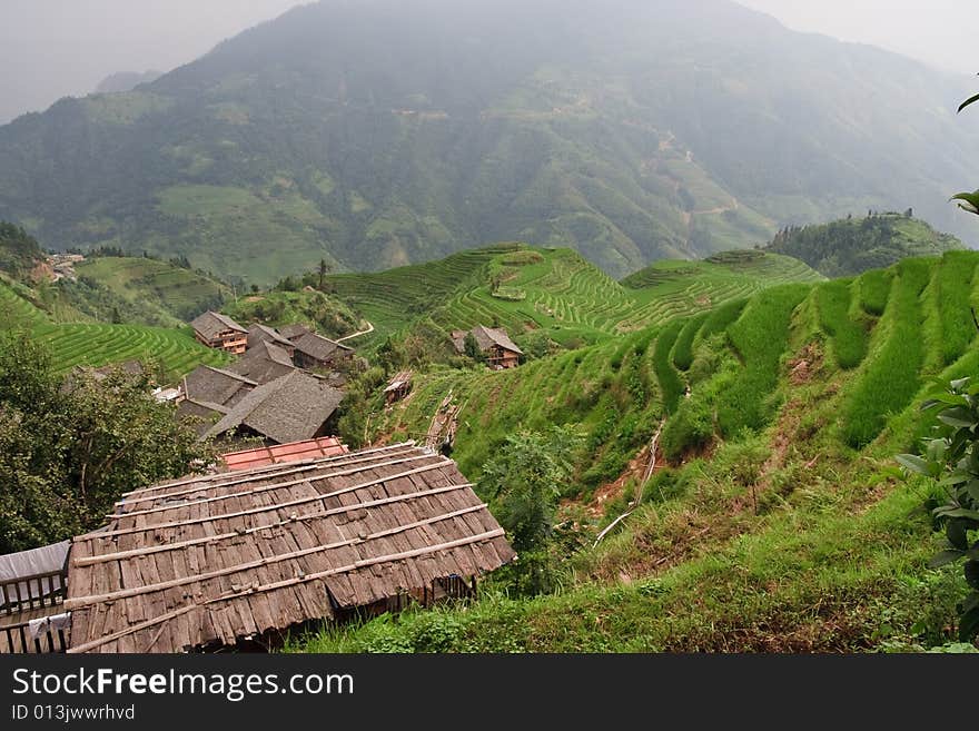 Guilin Rice Field Terrace