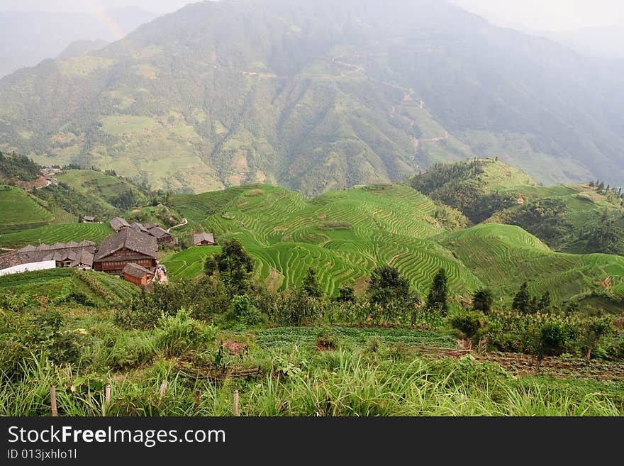 Guilin Rice Field Terrace