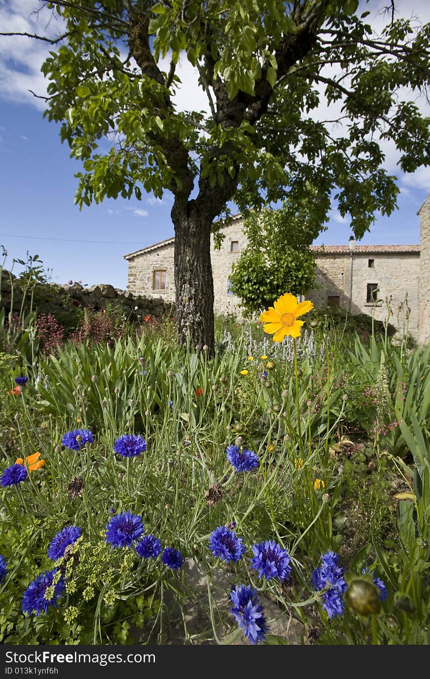 Colorful flowers in french farm house garden. Colorful flowers in french farm house garden