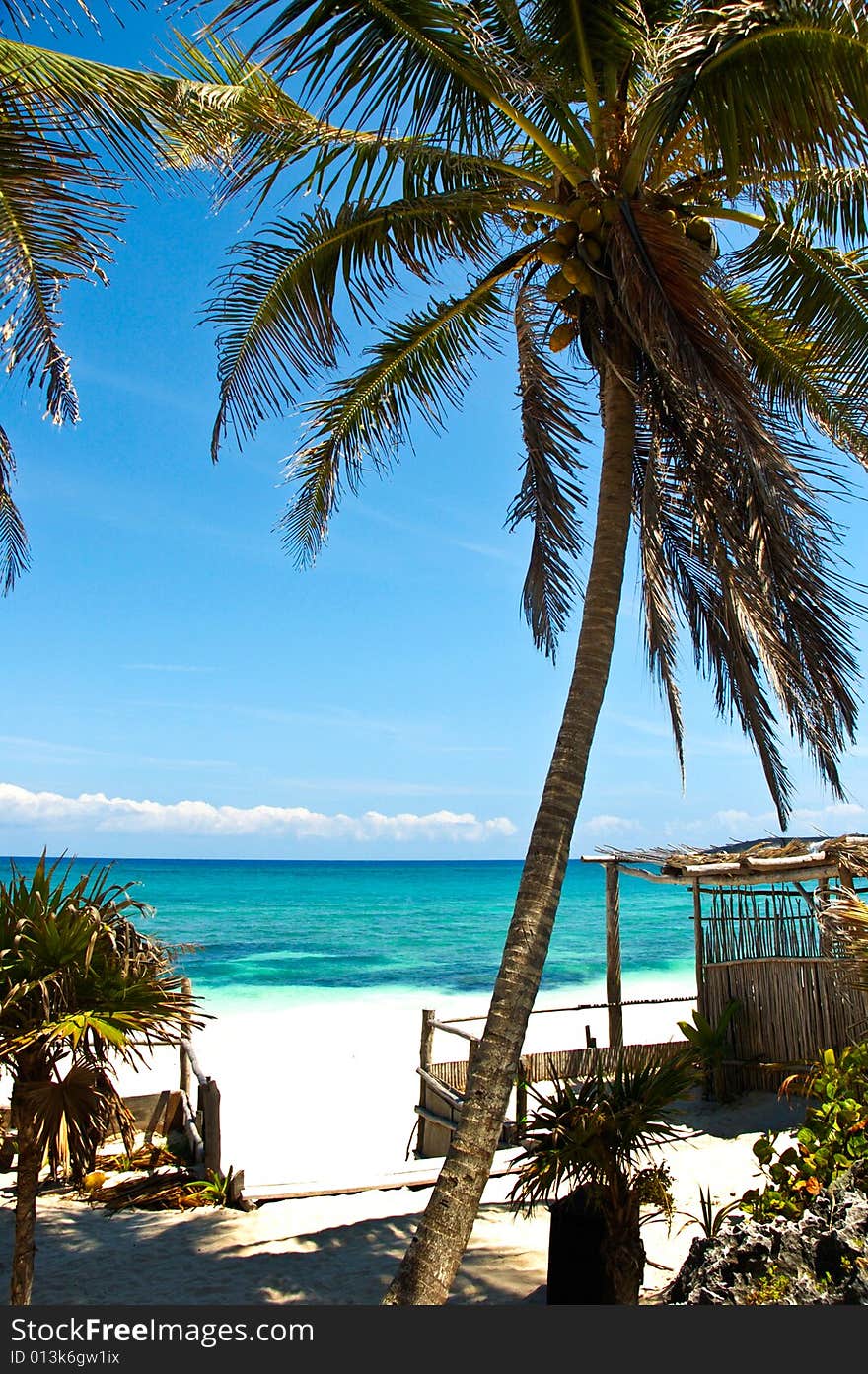 Beach Landscape in Tulum on a bright sunny day