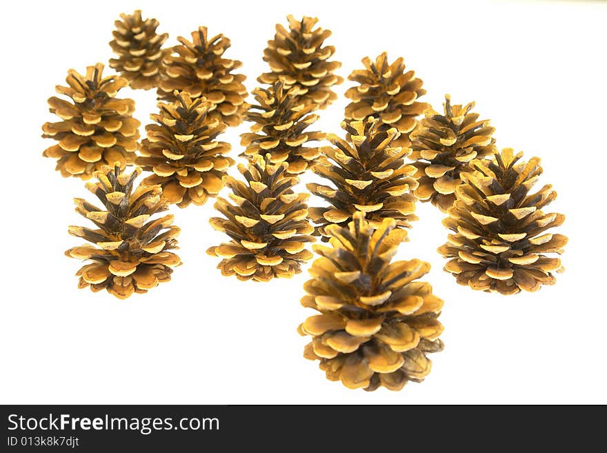 Seasonal pine cones isolated on white background