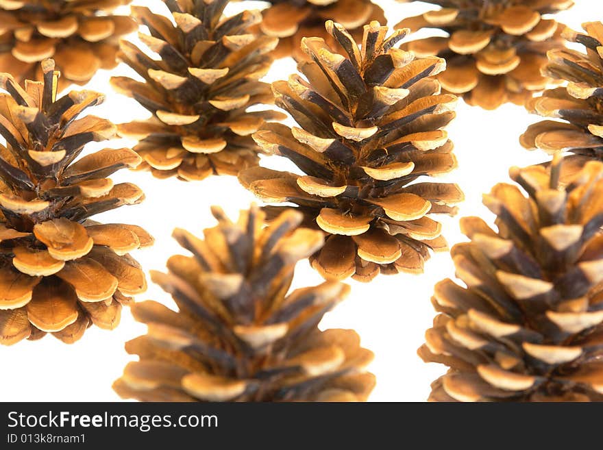 Close up of pine cones isolated on a white background