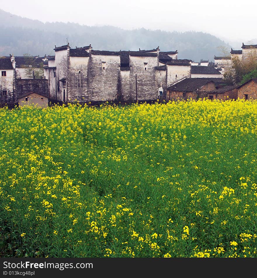 Chinese village