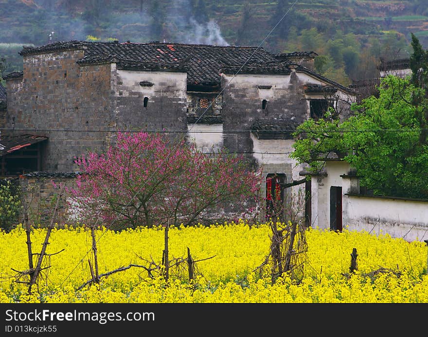 This is  a village in the spring